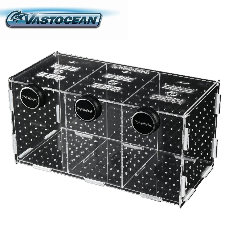 Box Fish In Aquarium - VASTOCEAN خزان الأسماك المغناطيسي مجتمعة الاكريليك