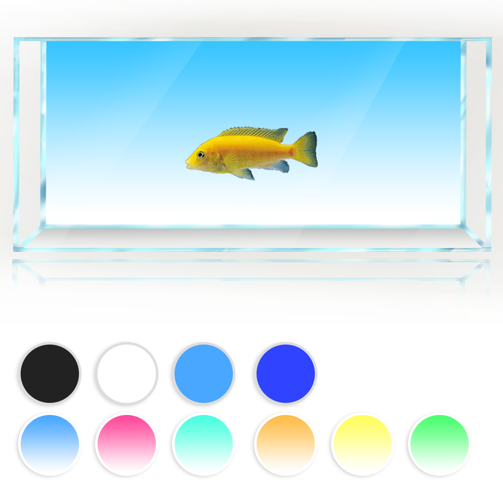 Aquarium Fish Yellow And Black - خلفية خزان الأسماك أبيض أصفر أخضر