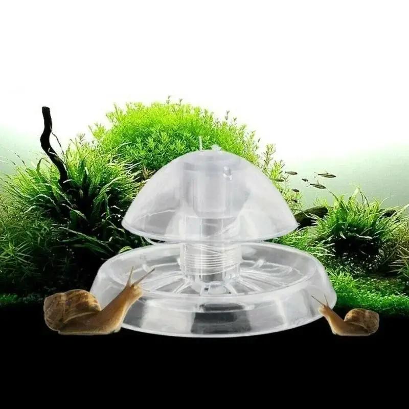 Box Fish In Aquarium - 2026 جديد 6/8 سم صندوق مصيدة