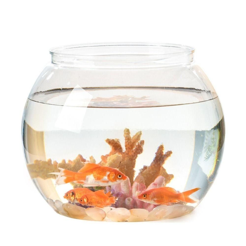 Aquarium Fish In Bowl - حوض أسماك شفاف محمول دائري من
