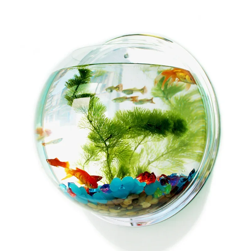 Aquarium Fish In Bowl - Pinsjar وعاء السمك الأكريليك الجدار الشنق