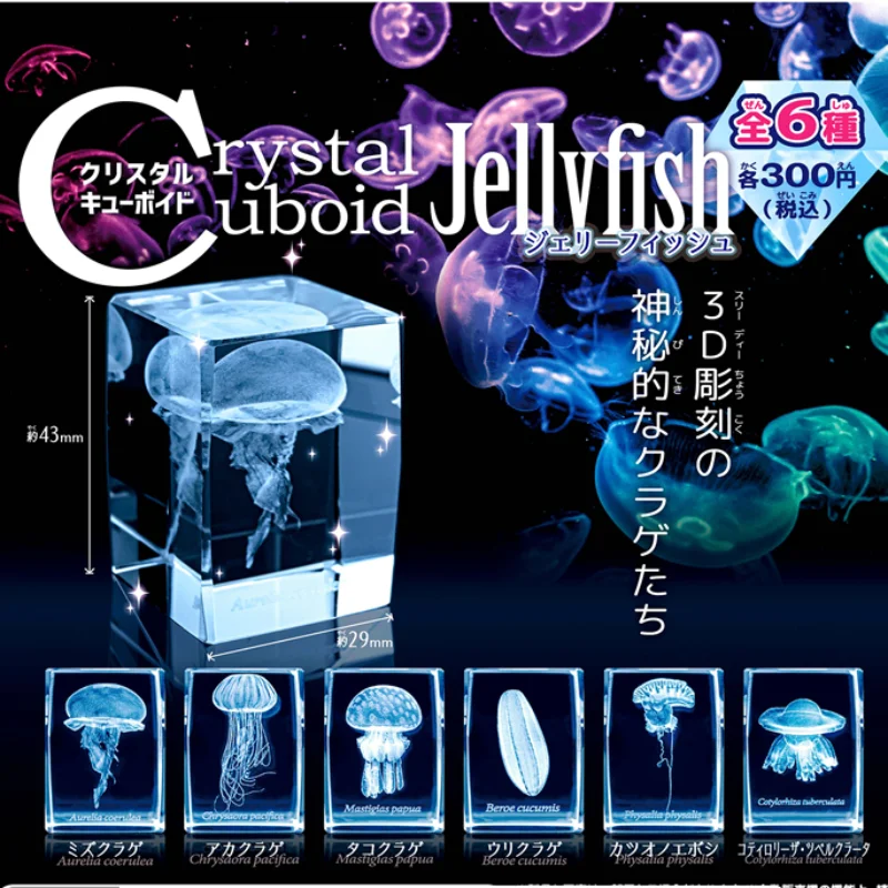 Aquarium Fish Discus - اليابان Gashapon قنديل البحر ثلاثية الأبعاد