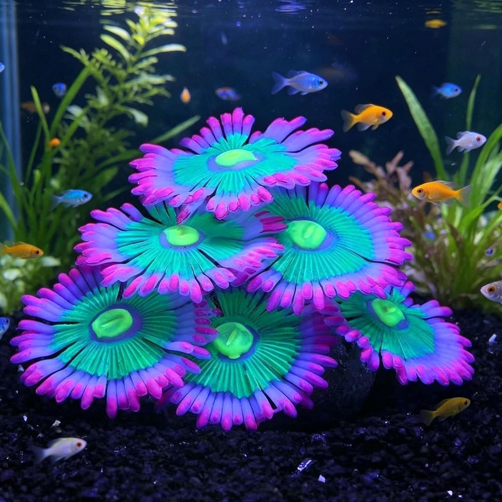 Aquarium Fish Tank Price - زينة حوض السمك المضيئة الناعمة، نباتات