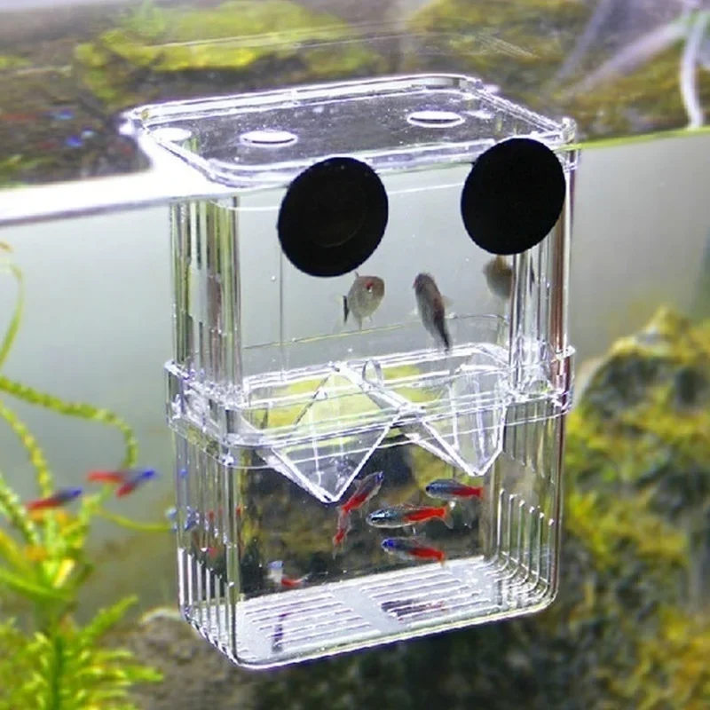 Aquarium Fish In Bowl - حوض أسماك متعدد الوظائف عالي الوضوح،