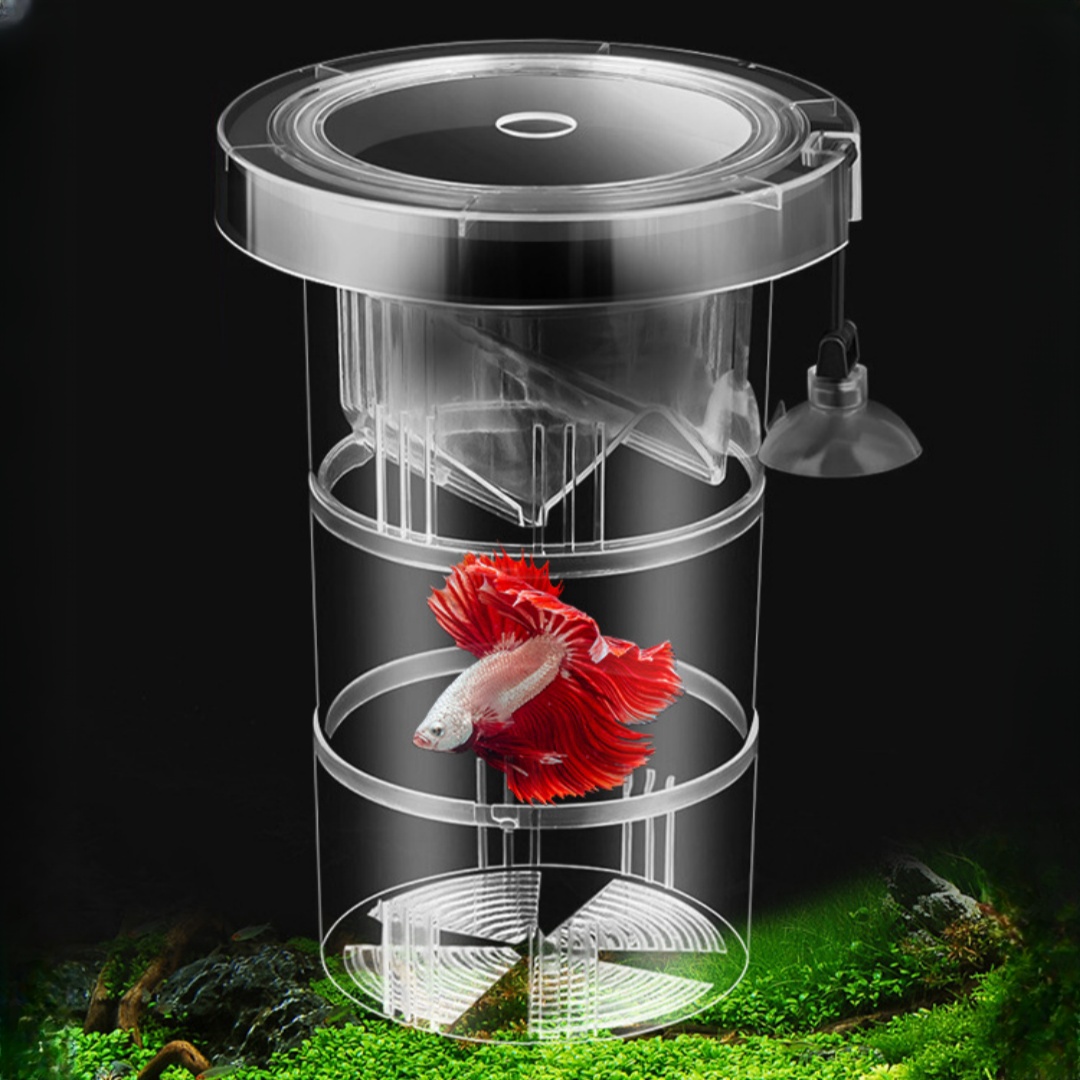 Box Fish In Aquarium - الاكريليك العائمة تربية الأسماك عزل صندوق