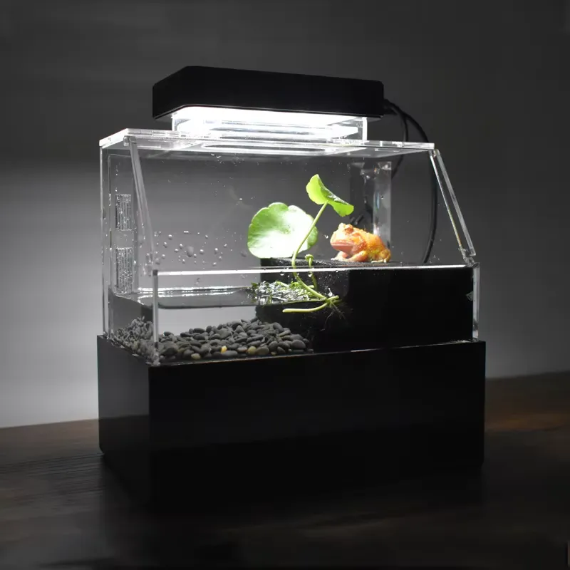 Aquarium Fish Sale - حوض أسماك مكتبي مخصص من ريلاكسلاينز،