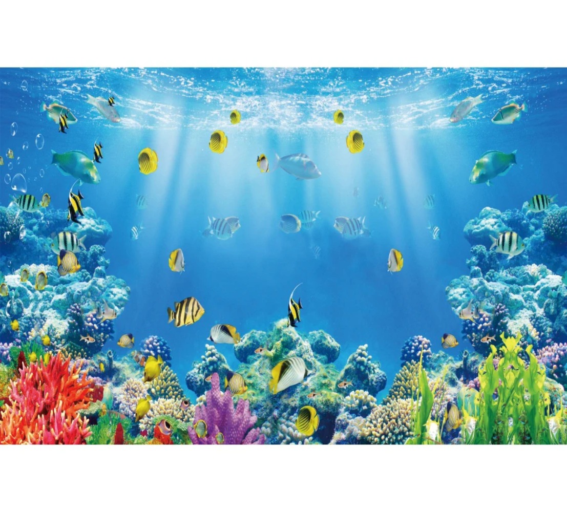 خلفية تصوير بتصميم عالم تحت ال - مراجعة Aquarium Fish Of The World وسعره