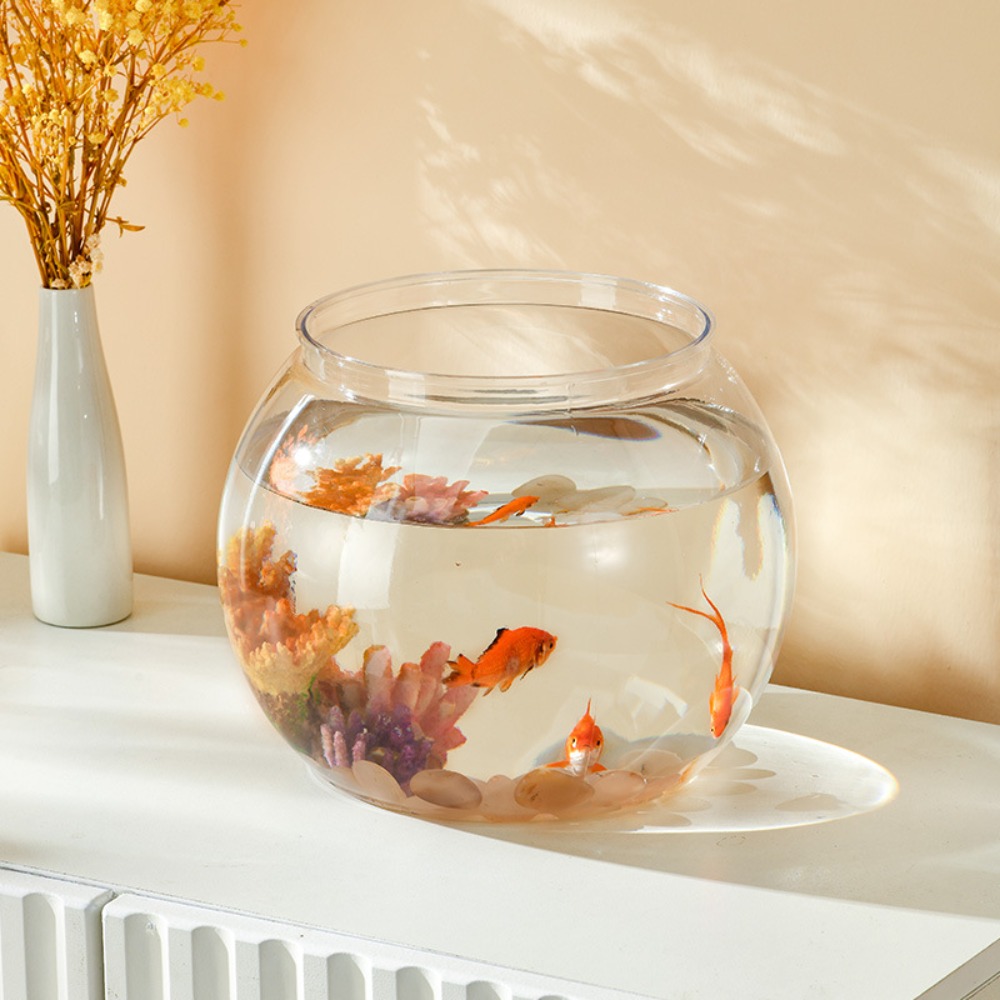 حوض سمك دائري شفاف للديكور الم - مراجعة Aquarium Fish In Bowl وسعره