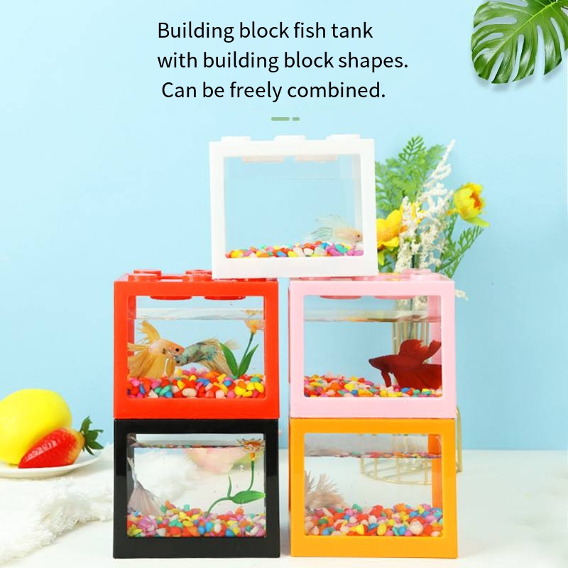 حوض أسماك صغير مبتكر على شكل م - مراجعة Aquarium Fish In Bowl وسعره