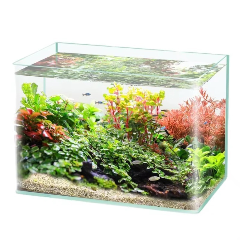 صندوق تعبئة سطح المكتب لحوض ال - مراجعة Box Fish In Aquarium وسعره