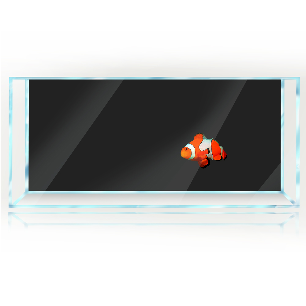 خلفية خزان الأسماك أبيض أصفر أ - مراجعة Aquarium Fish Yellow And Black وسعره