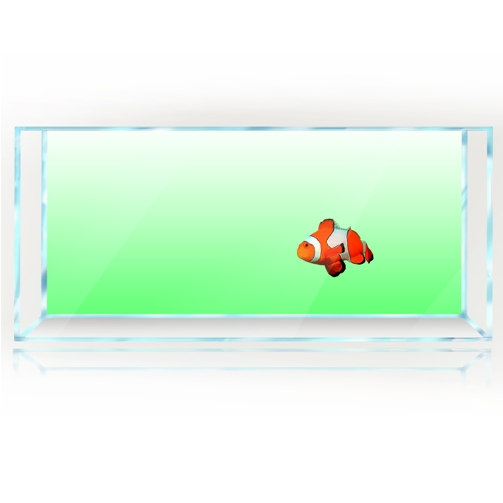 خلفية خزان الأسماك أبيض أصفر أ - مراجعة Aquarium Fish Yellow And Black وسعره