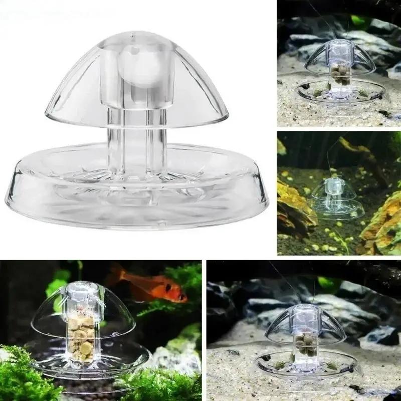 2026 جديد 6/8 سم صندوق مصيدة ح - مراجعة Box Fish In Aquarium وسعره