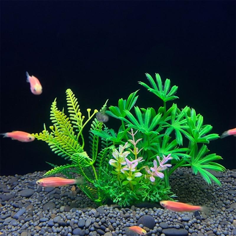 حوض السمك الاصطناعي الديكور نب - مراجعة Aquarium Fish Sale وسعره