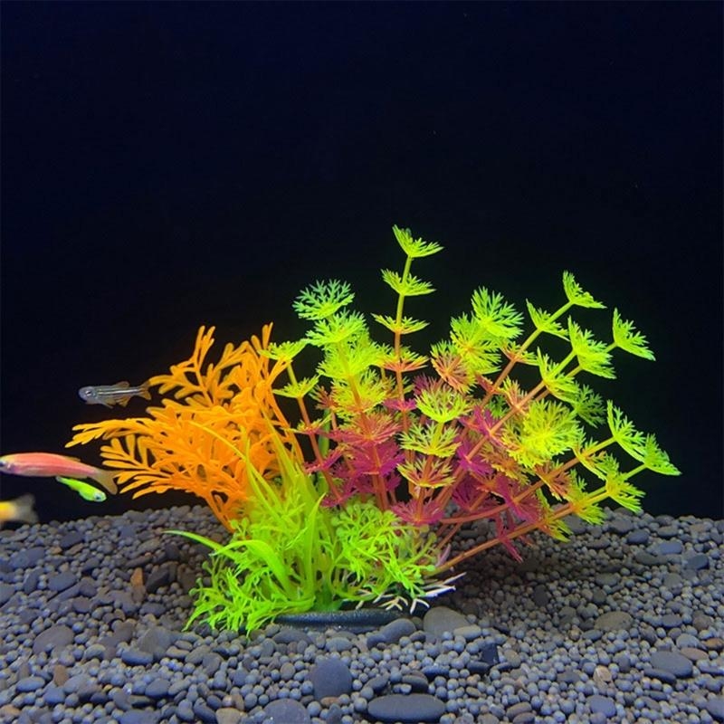 حوض السمك الاصطناعي الديكور نب - مراجعة Aquarium Fish Sale وسعره