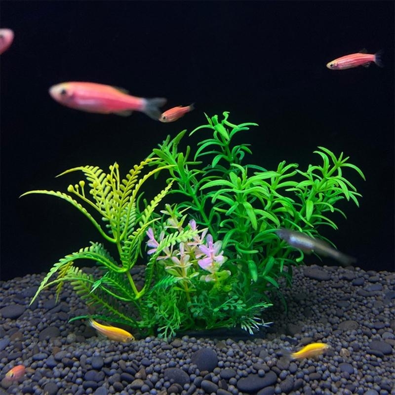 حوض السمك الاصطناعي الديكور نب - مراجعة Aquarium Fish Sale وسعره