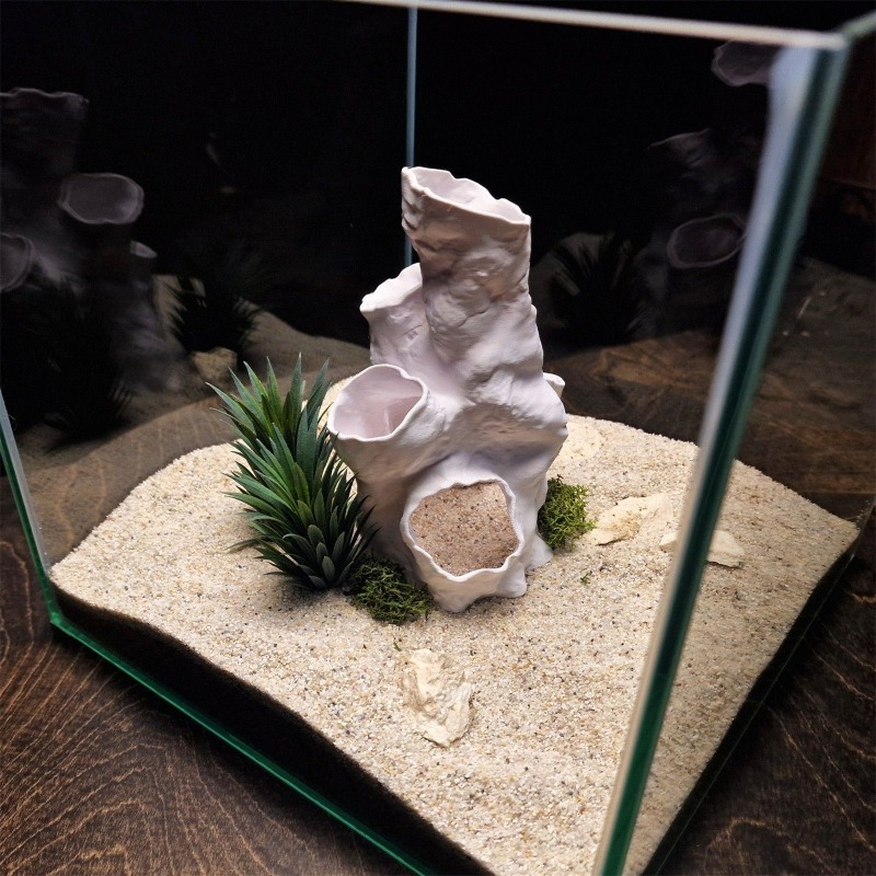 عرض ساخن: نفق مرجاني ثلاثي الأ - مراجعة Aquarium Fish Sale وسعره