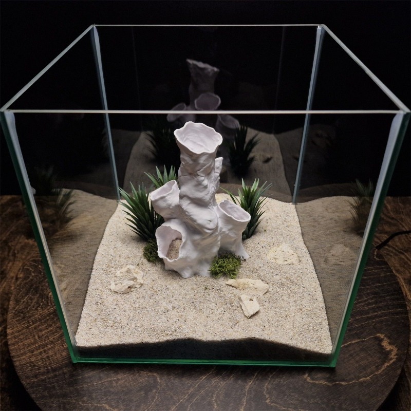 عرض ساخن: نفق مرجاني ثلاثي الأ - مراجعة Aquarium Fish Sale وسعره