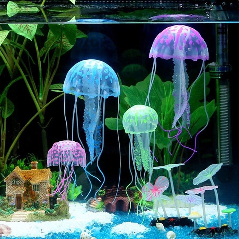 زينة قنديل البحر الاصطناعي الم - مراجعة Aquarium Fish Discus وسعره