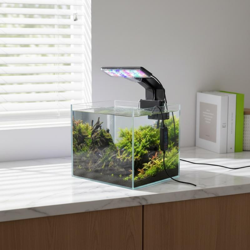 إضاءة LED للأحواض المائية فائق - مراجعة Aquarium Fish With Long Lifespan وسعره