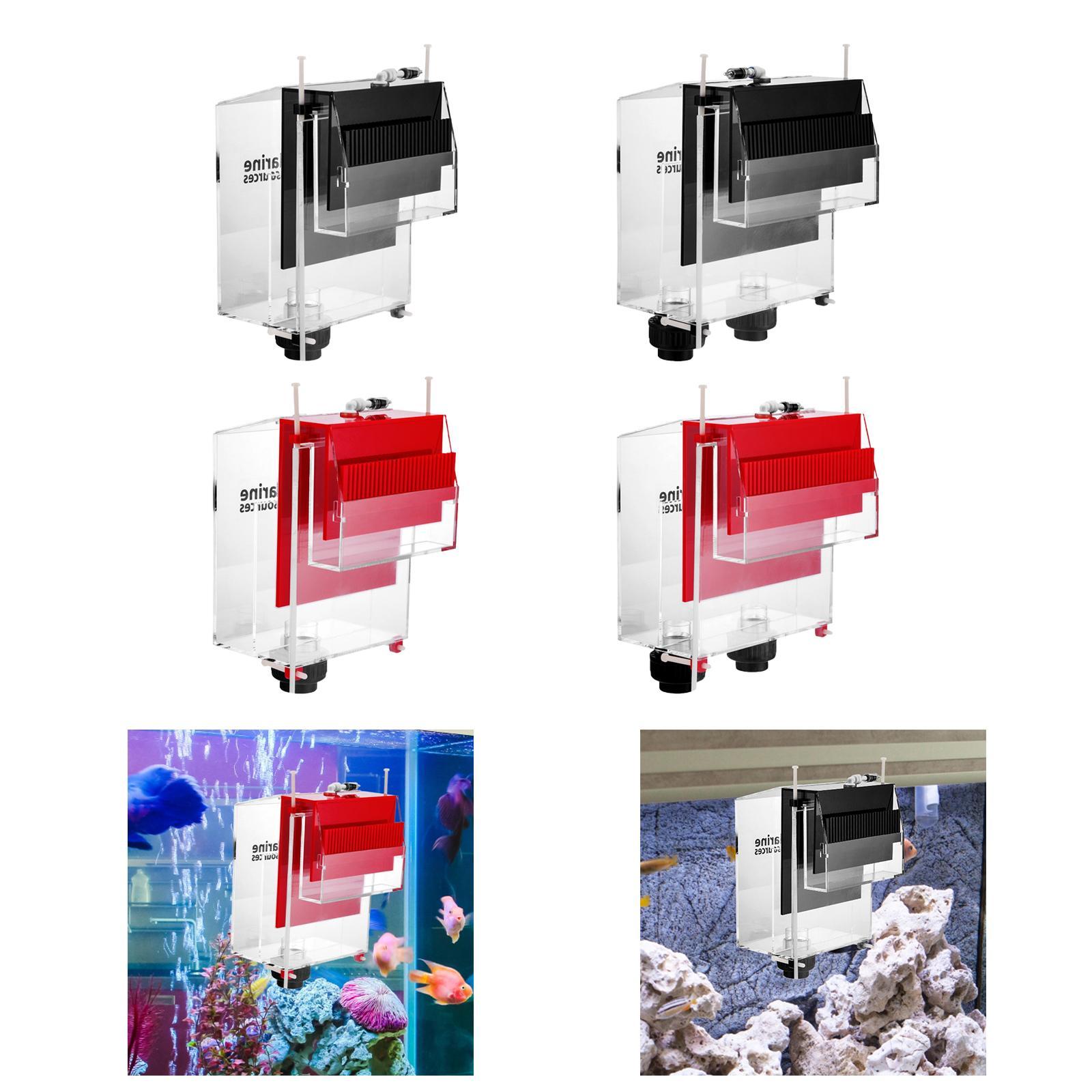 مربع تجاوز قابل للفصل لأحواض ا - مراجعة Box Fish In Aquarium وسعره
