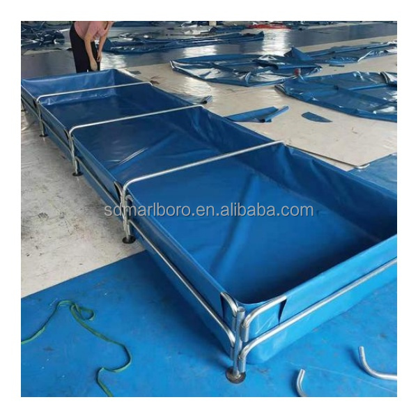 أحواض أسماك مربعة شفافة عالية  - مراجعة Aquarium Fish Sale وسعره