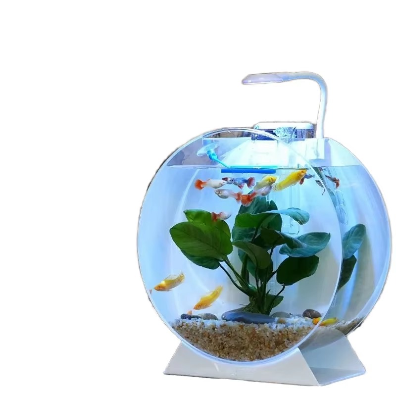 رائجة البيع خزانات الأسماك الا - مراجعة Aquarium Fish Sale وسعره