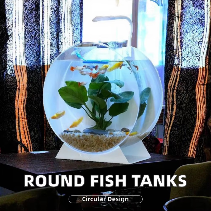 رائجة البيع خزانات الأسماك الا - مراجعة Aquarium Fish Sale وسعره