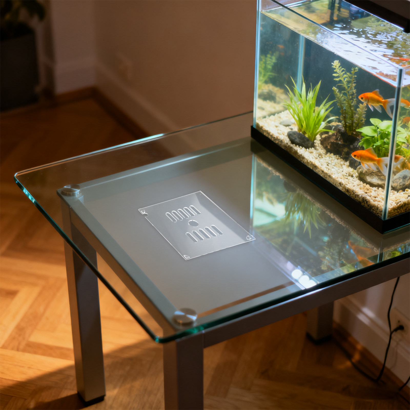 غطاء حوض السمك من الأكريليك، ق - مراجعة Aquarium Fish In Bowl وسعره