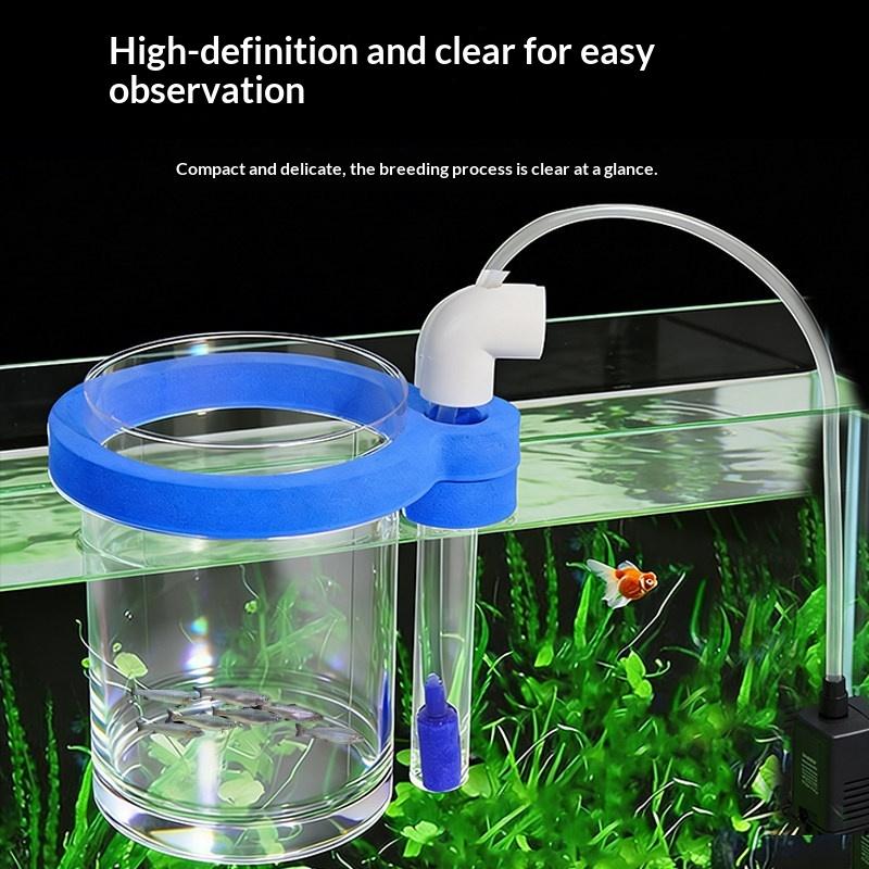 صندوق تربية أسماك شفاف من الأك - مراجعة Box Fish In Aquarium وسعره
