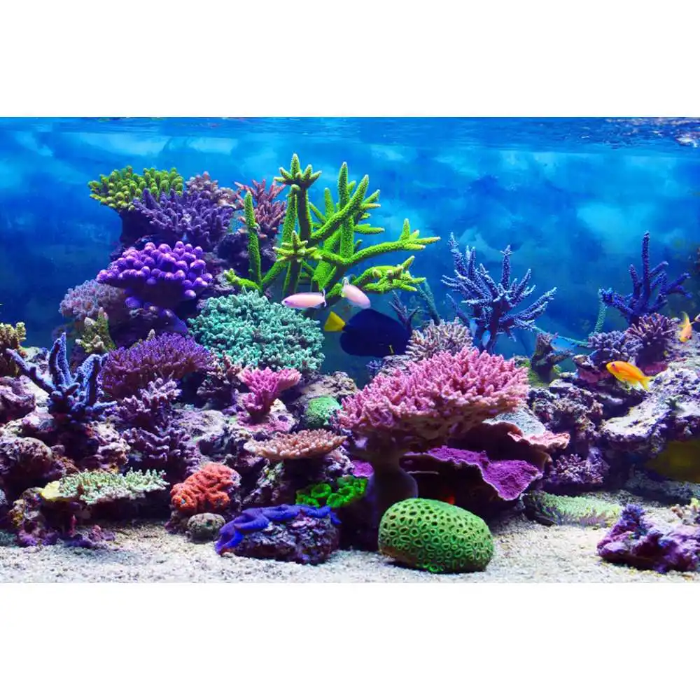 خلفية عالم ما تحت الماء، قاع ا - مراجعة Aquarium Fish Of The World وسعره