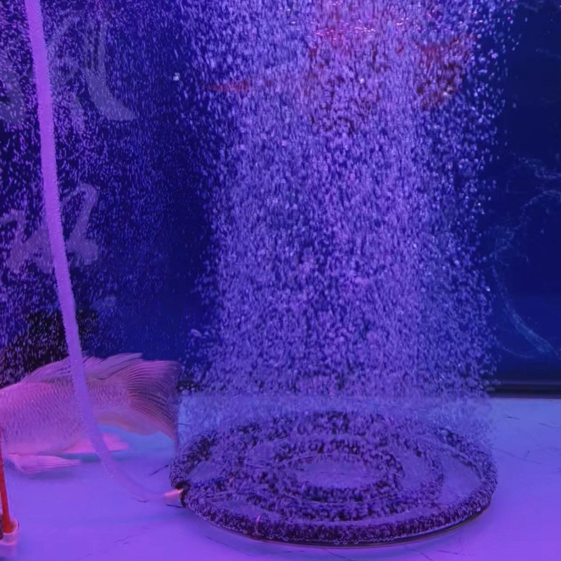 قرص تهوية نانو من الفولاذ المق - مراجعة Aquarium Fish Discus وسعره