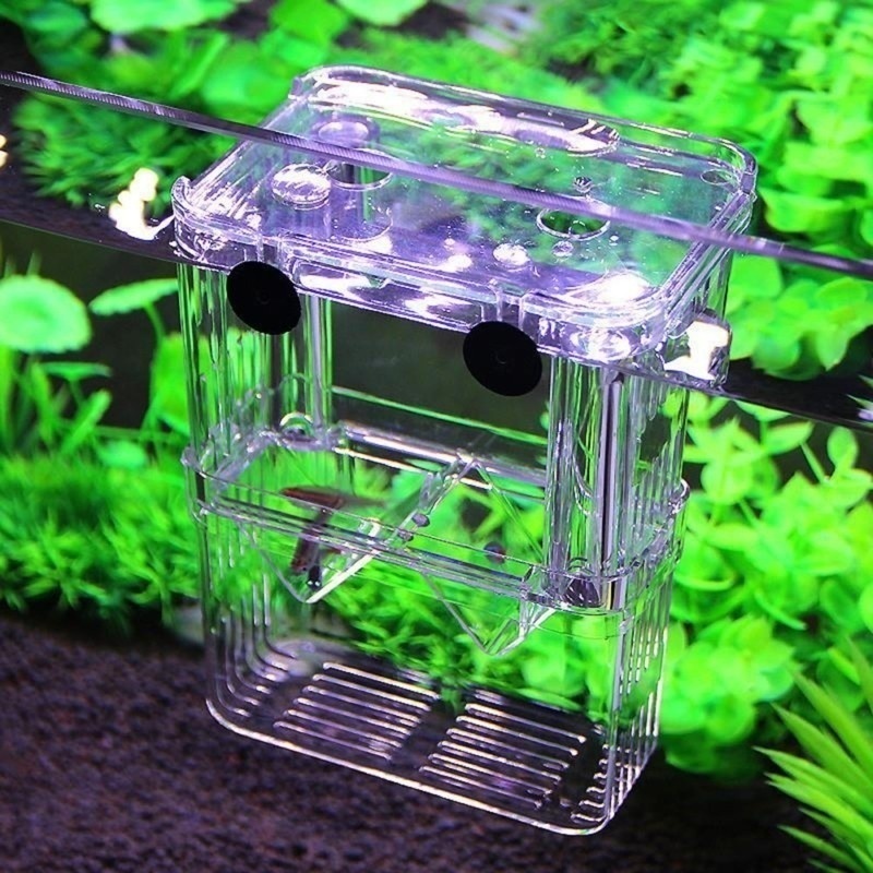 صندوق عزل حوض السمك متعدد الوظ - مراجعة Aquarium Fish In Bowl وسعره