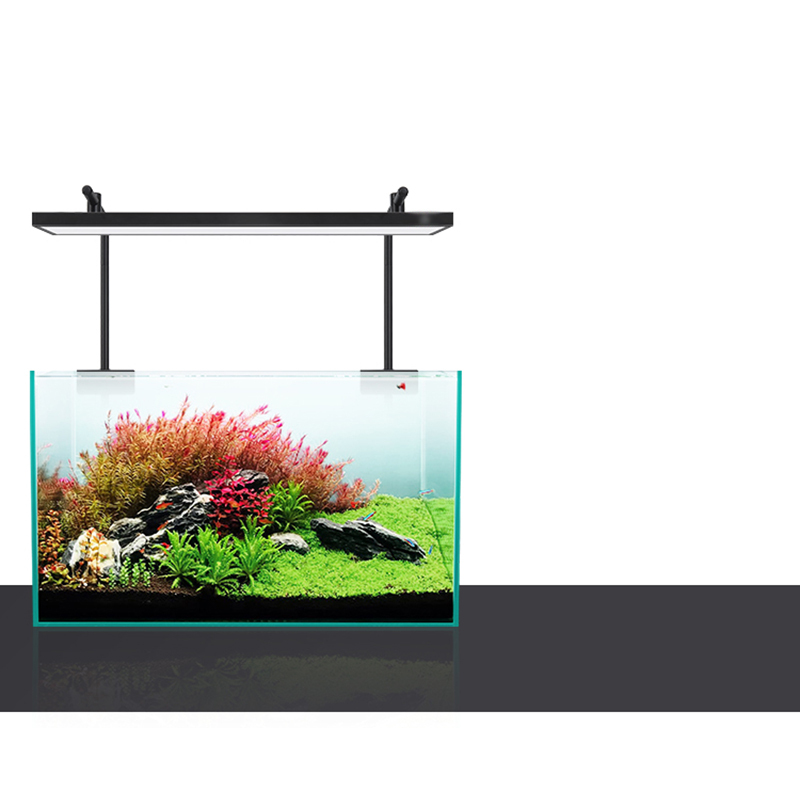 Led الإضاءة 60 سنتيمتر 80 سنتي - مراجعة Aquarium Fish Sale وسعره