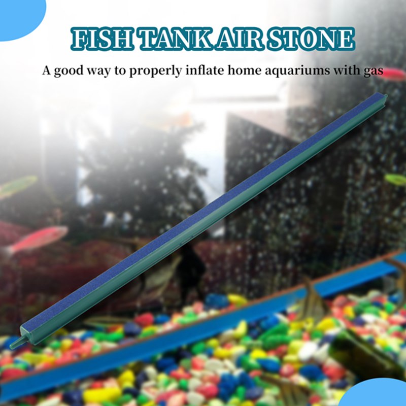 حجر هواء لحوض السمك بطول 20 بو - مراجعة Aquarium Fish Long وسعره