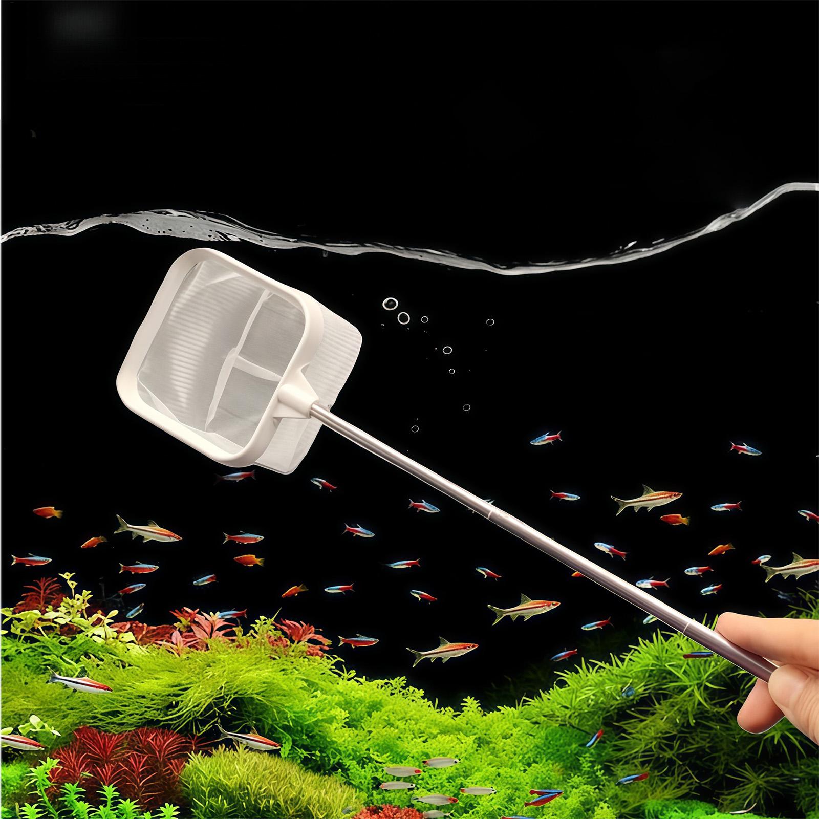 أداة تنظيف مياه خارجية بمقبض ط - مراجعة Aquarium Fish Long وسعره