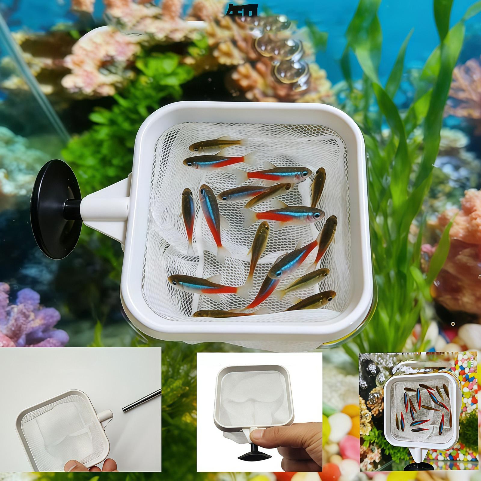 أداة تنظيف مياه خارجية بمقبض ط - مراجعة Aquarium Fish Long وسعره