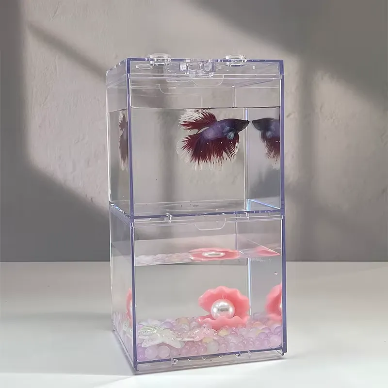 حوض أسماك صغير متعدد الوظائف م - مراجعة Box Fish In Aquarium وسعره