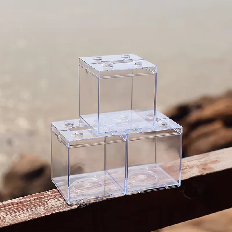 حوض أسماك صغير متعدد الوظائف م - مراجعة Box Fish In Aquarium وسعره