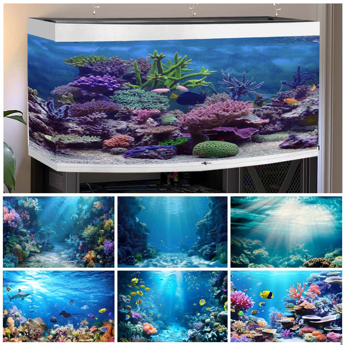 خلفيات العالم تحت الماء للصور  - مراجعة Aquarium Fish Of The World وسعره
