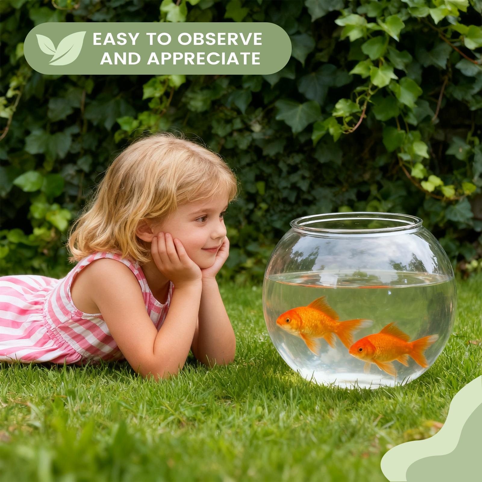 وعاء زينة على شكل حوض سمك، وعا - مراجعة Aquarium Fish In Bowl وسعره