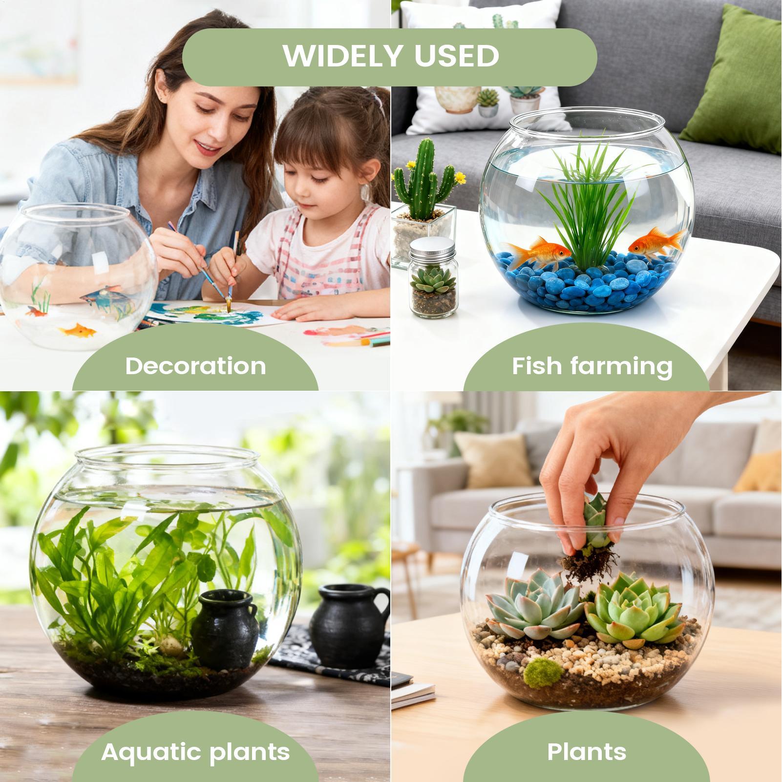 وعاء زينة على شكل حوض سمك، وعا - مراجعة Aquarium Fish In Bowl وسعره