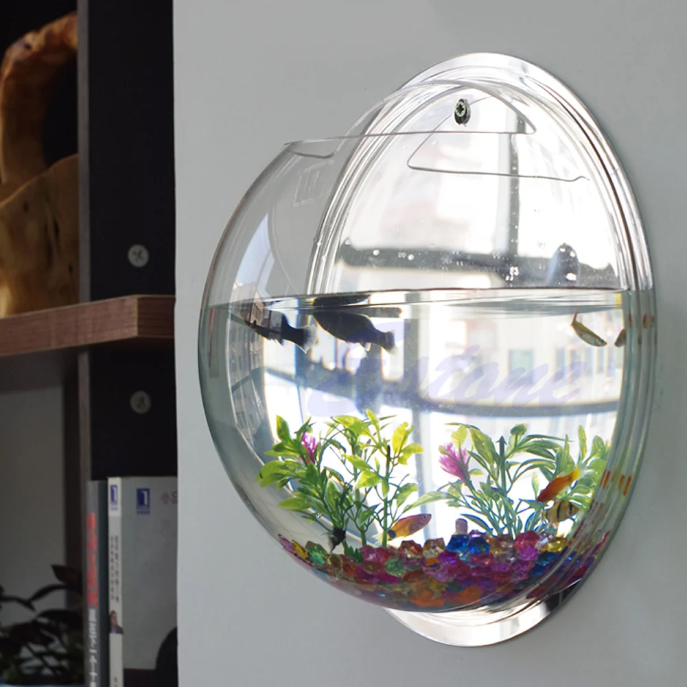 وعاء جدار معلق جبل فقاعة حوض ا - مراجعة Aquarium Fish In Bowl وسعره