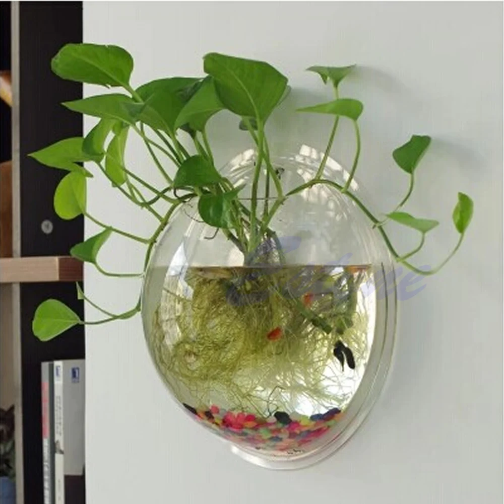 وعاء جدار معلق جبل فقاعة حوض ا - مراجعة Aquarium Fish In Bowl وسعره