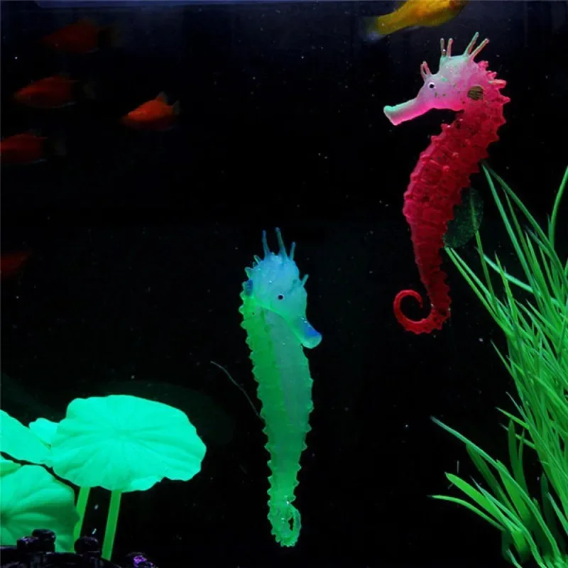 حوض السمك الاصطناعي حصان البحر - مراجعة Aquarium Fish Discus وسعره