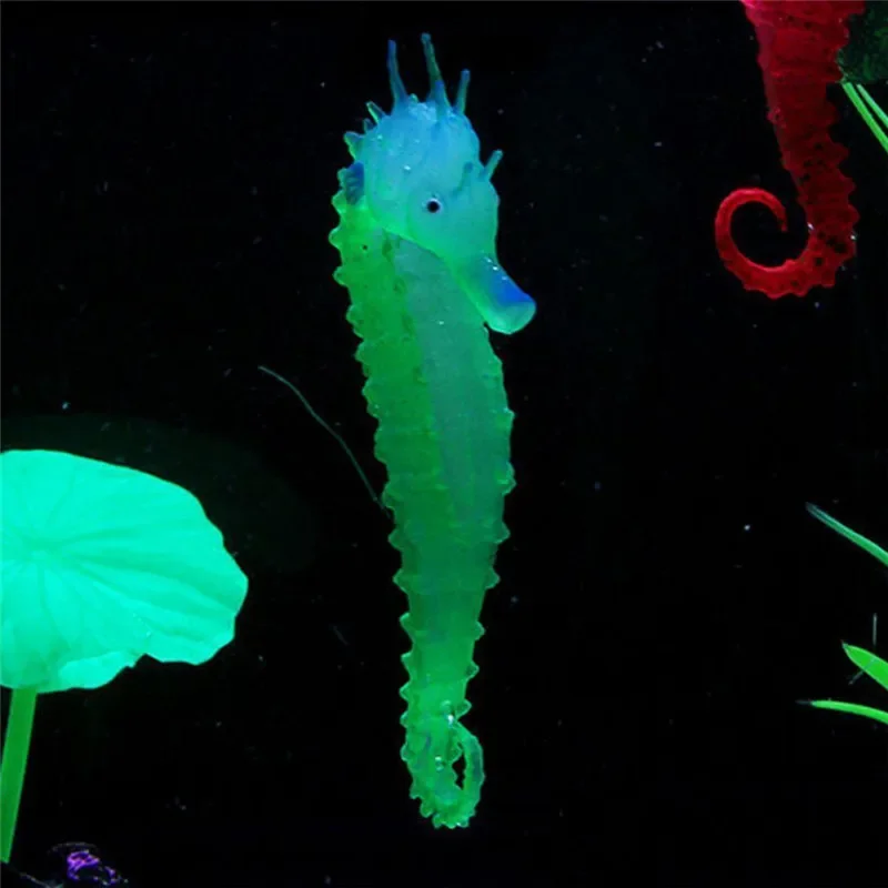 حوض السمك الاصطناعي حصان البحر - مراجعة Aquarium Fish Discus وسعره