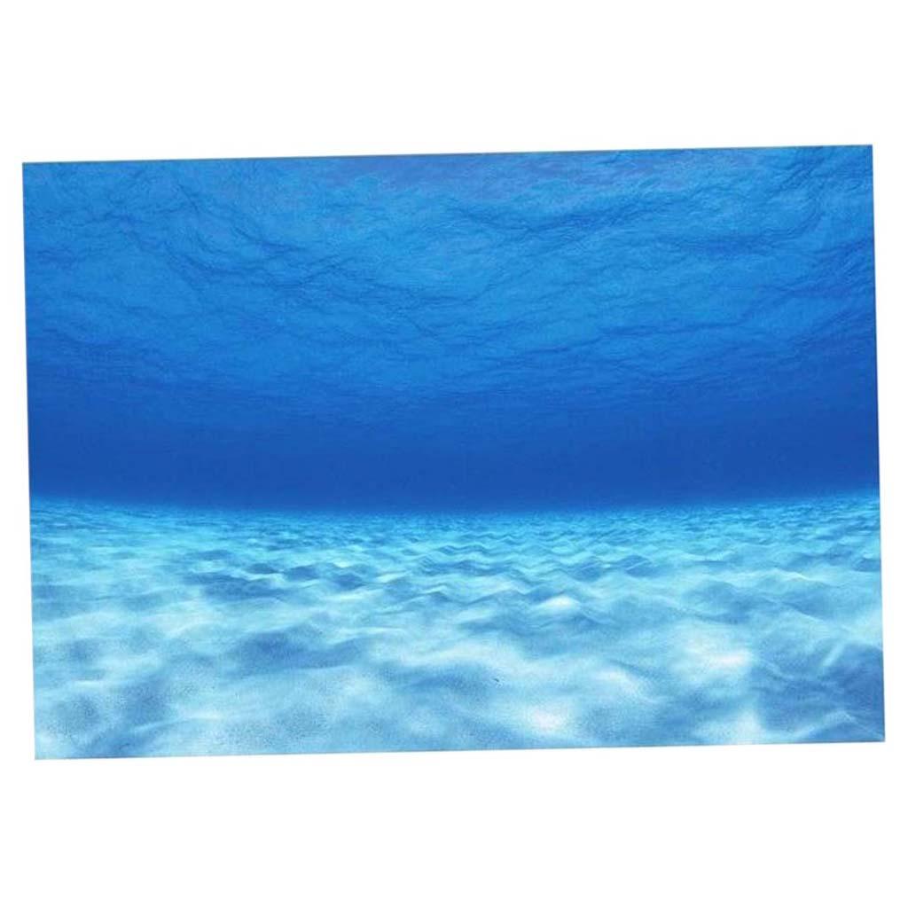 الجانب الزخرفية حوض السمك خلفي - مراجعة Aquarium Fish Of The World وسعره