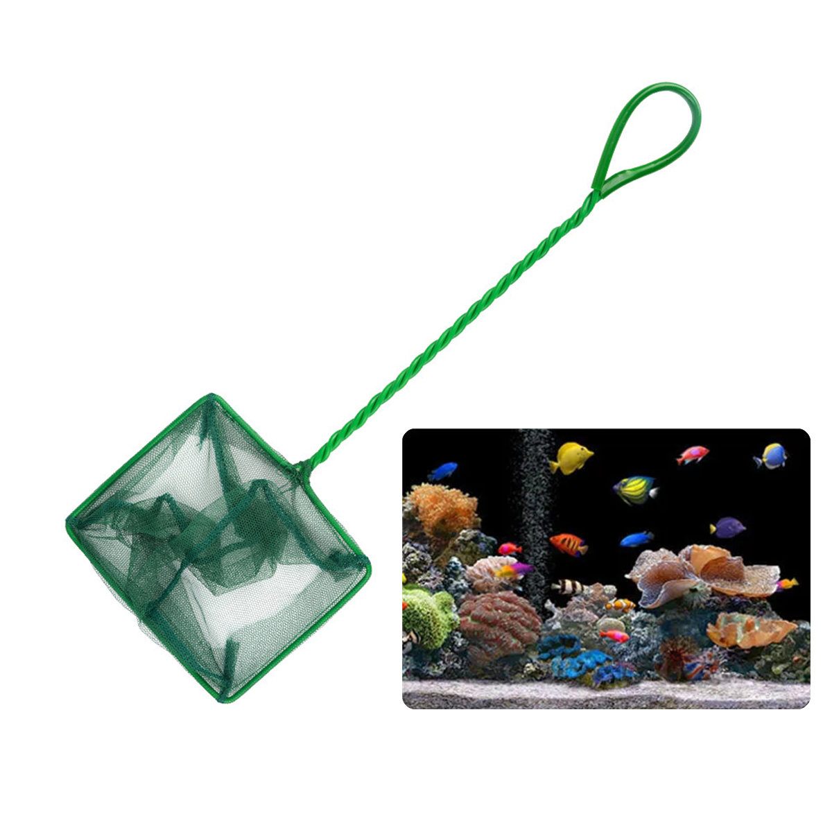 شبكة صيد السمك المحمولة المصنو - مراجعة Aquarium Fish Long وسعره