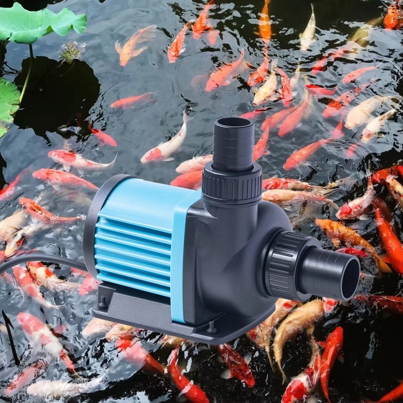 تيار مستمر 24 فولت نافورة الشم - مراجعة Aquarium Fish Sale وسعره