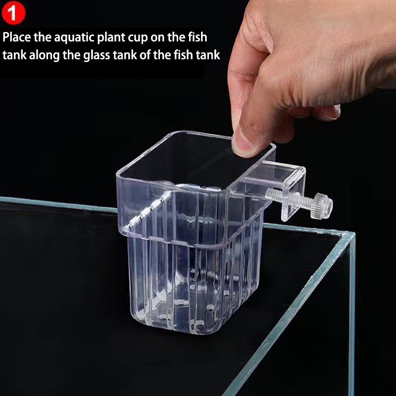حوض السمك متعدد الوظائف ، كوب  - مراجعة Box Fish In Aquarium وسعره